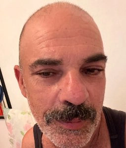 שרון