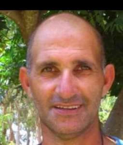 אילן