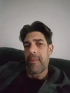 צבי