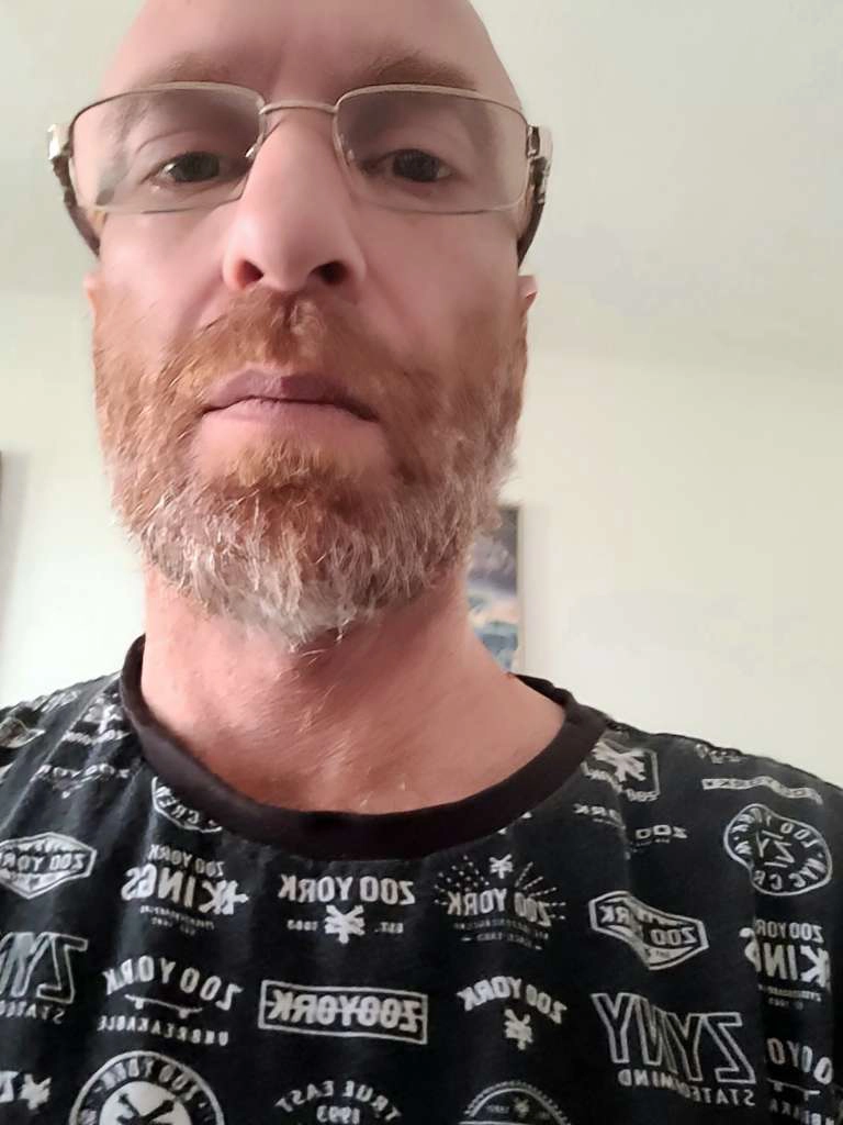 דוד