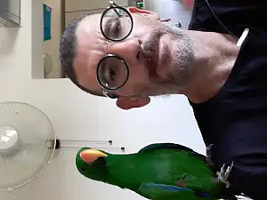 קובי