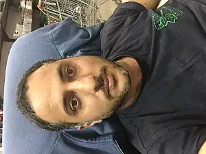 אילן