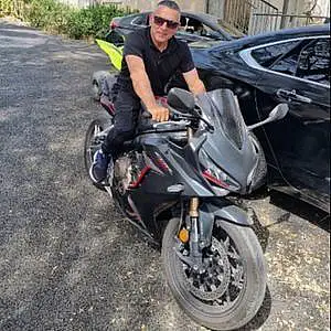 אלון