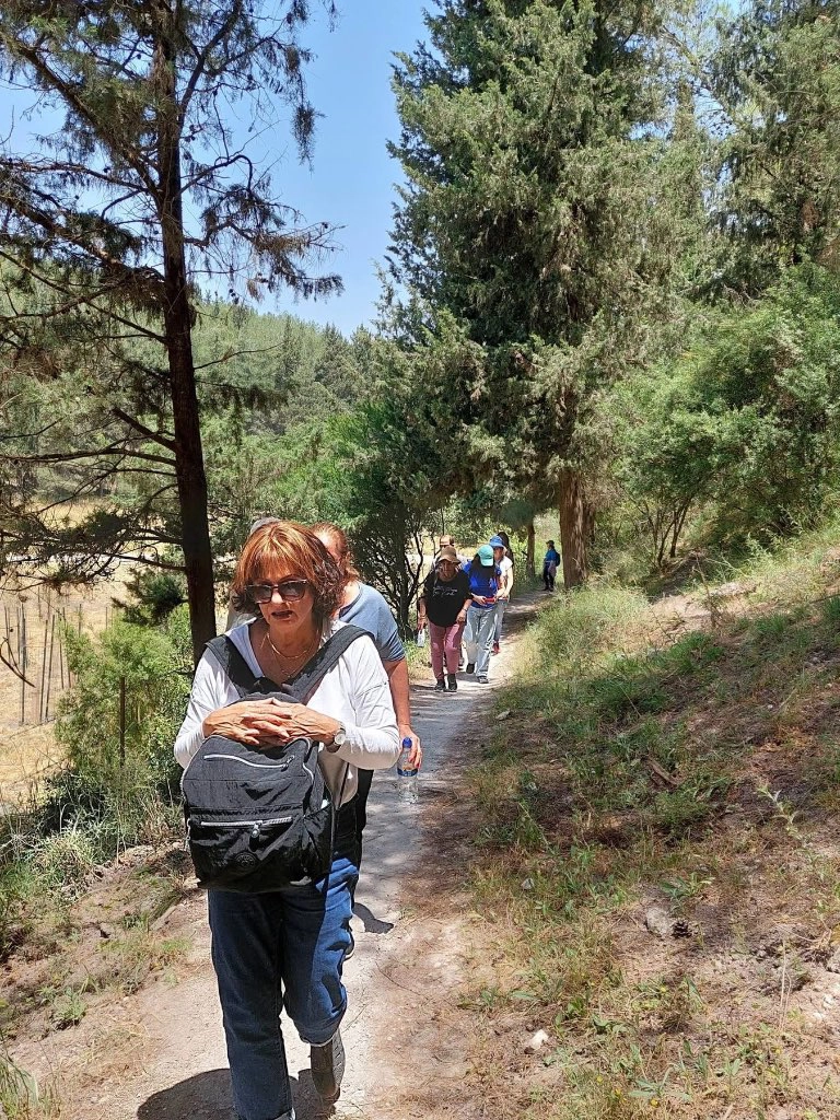 שרי