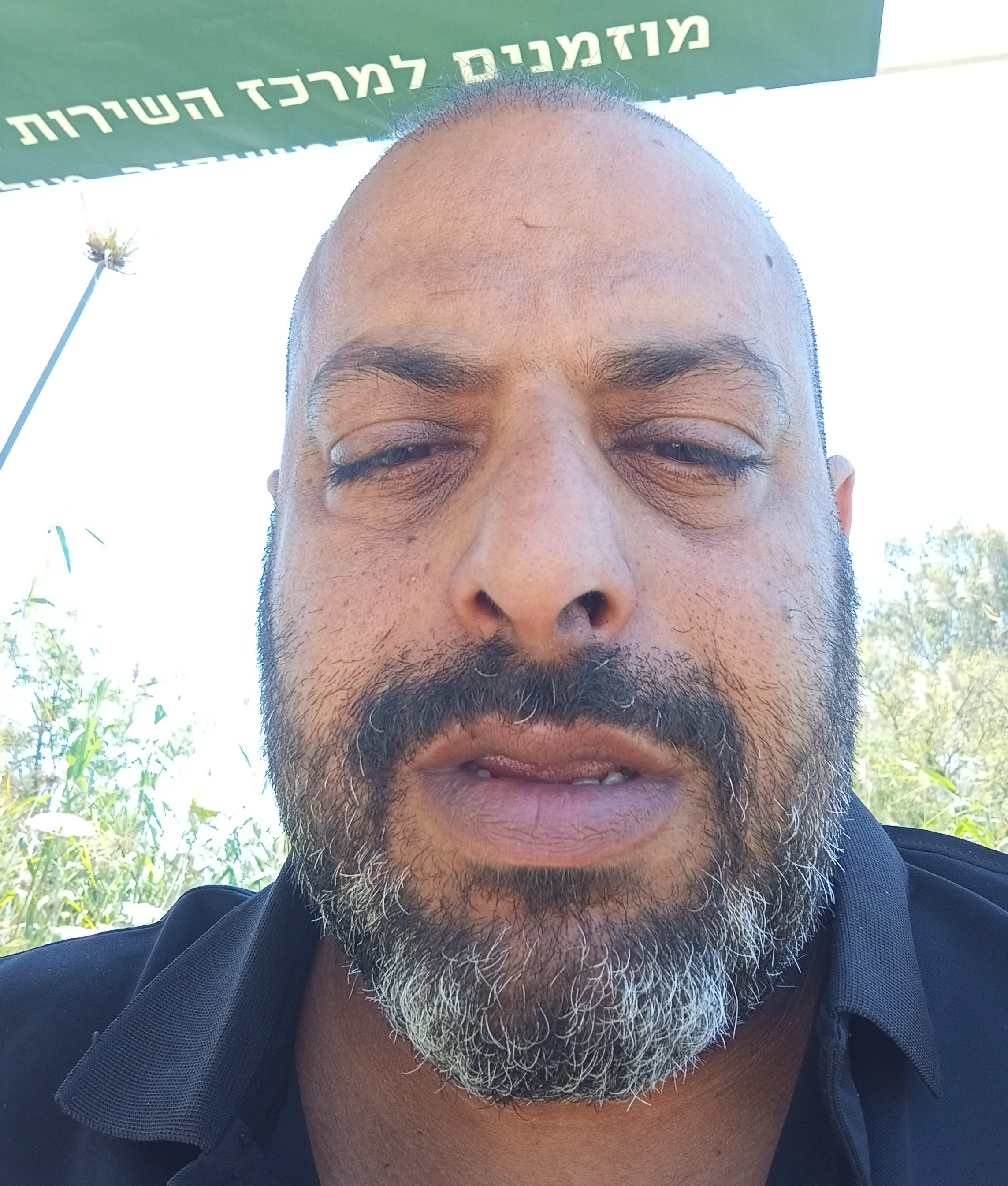 מרטיני