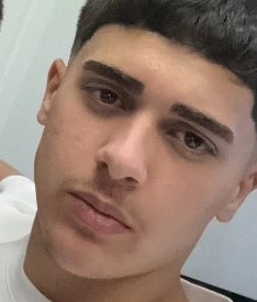 דניק