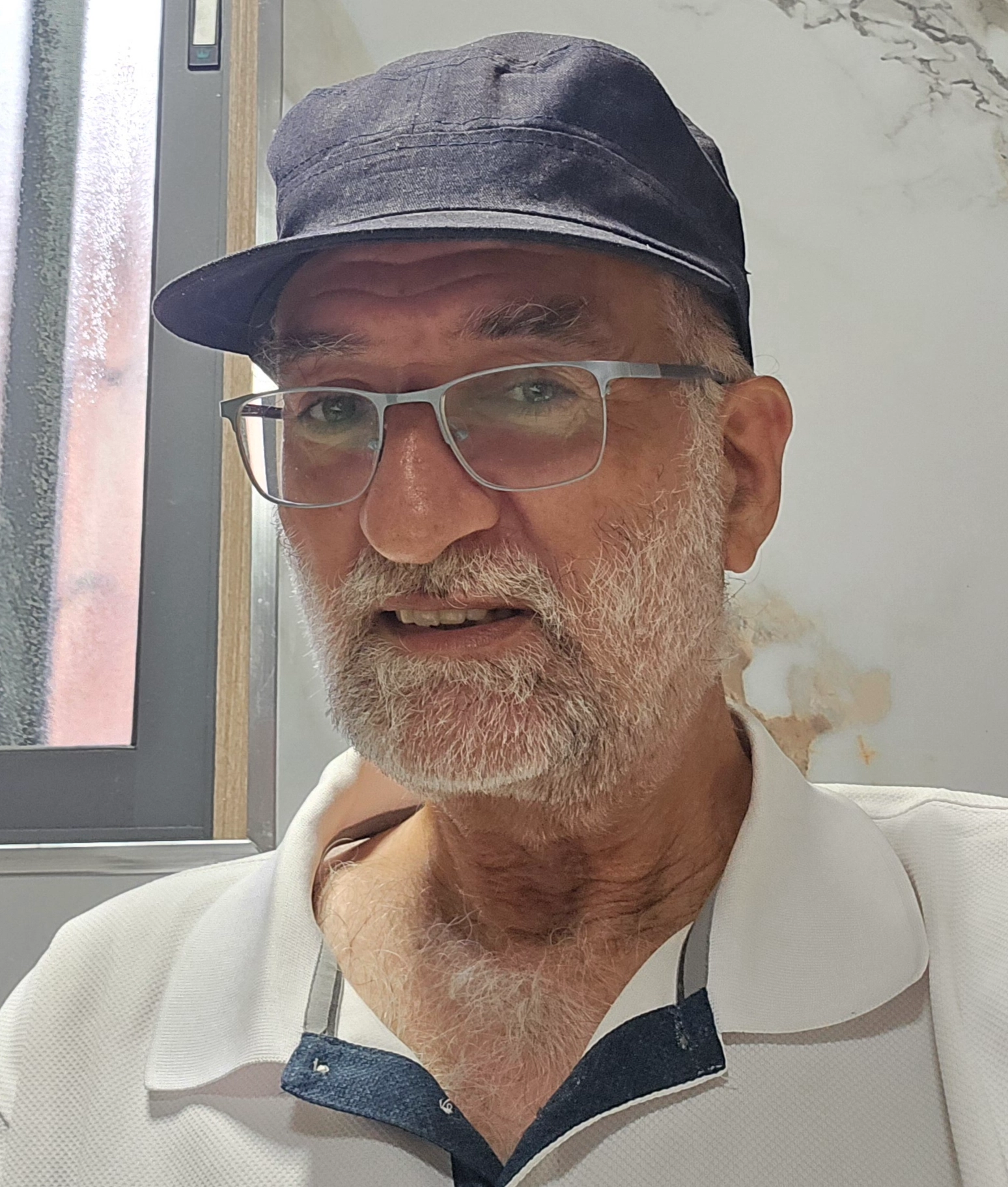 אילן