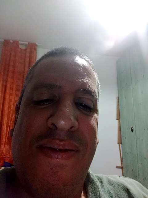 אלון