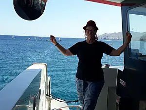 טלי